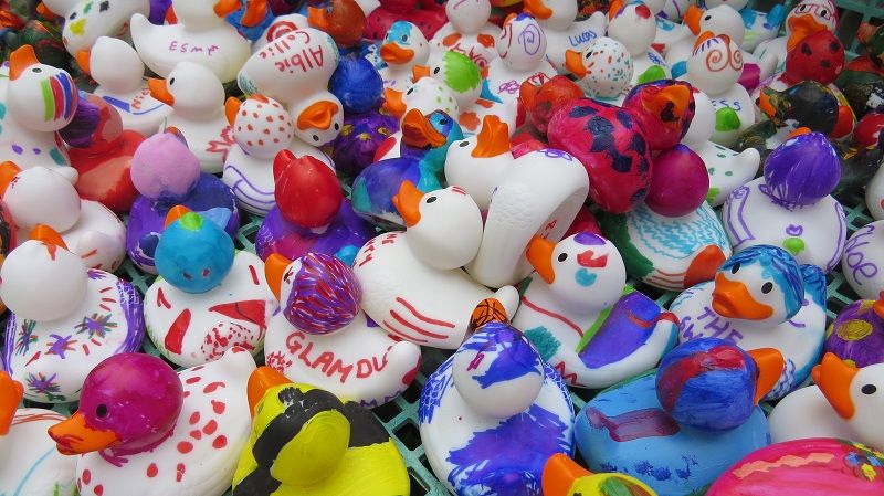 Martin Mere column: Make a splash at annual duck race