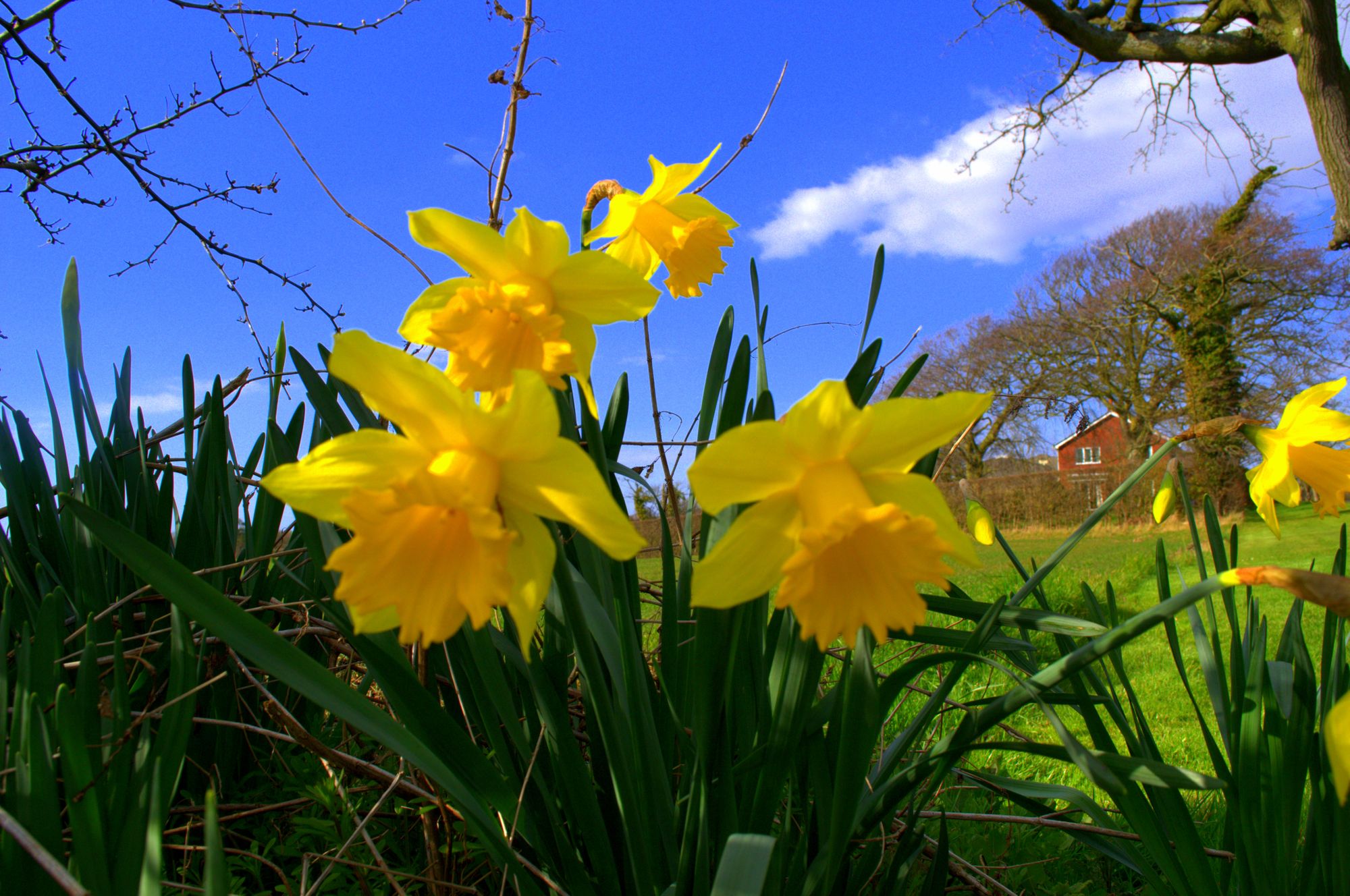 Scene By You: Photos of West Lancashire taken by local photographers