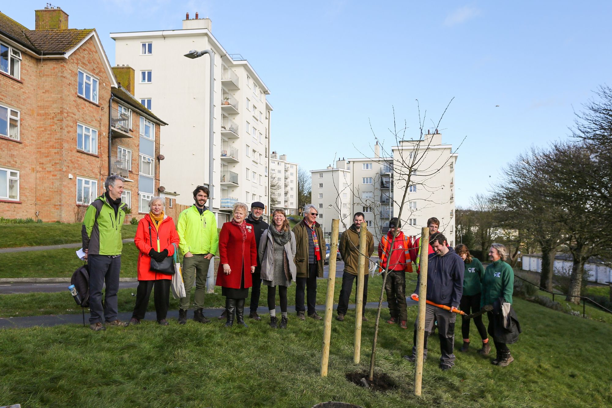 Brighton and Hove project plants more than 100 trees across the city
