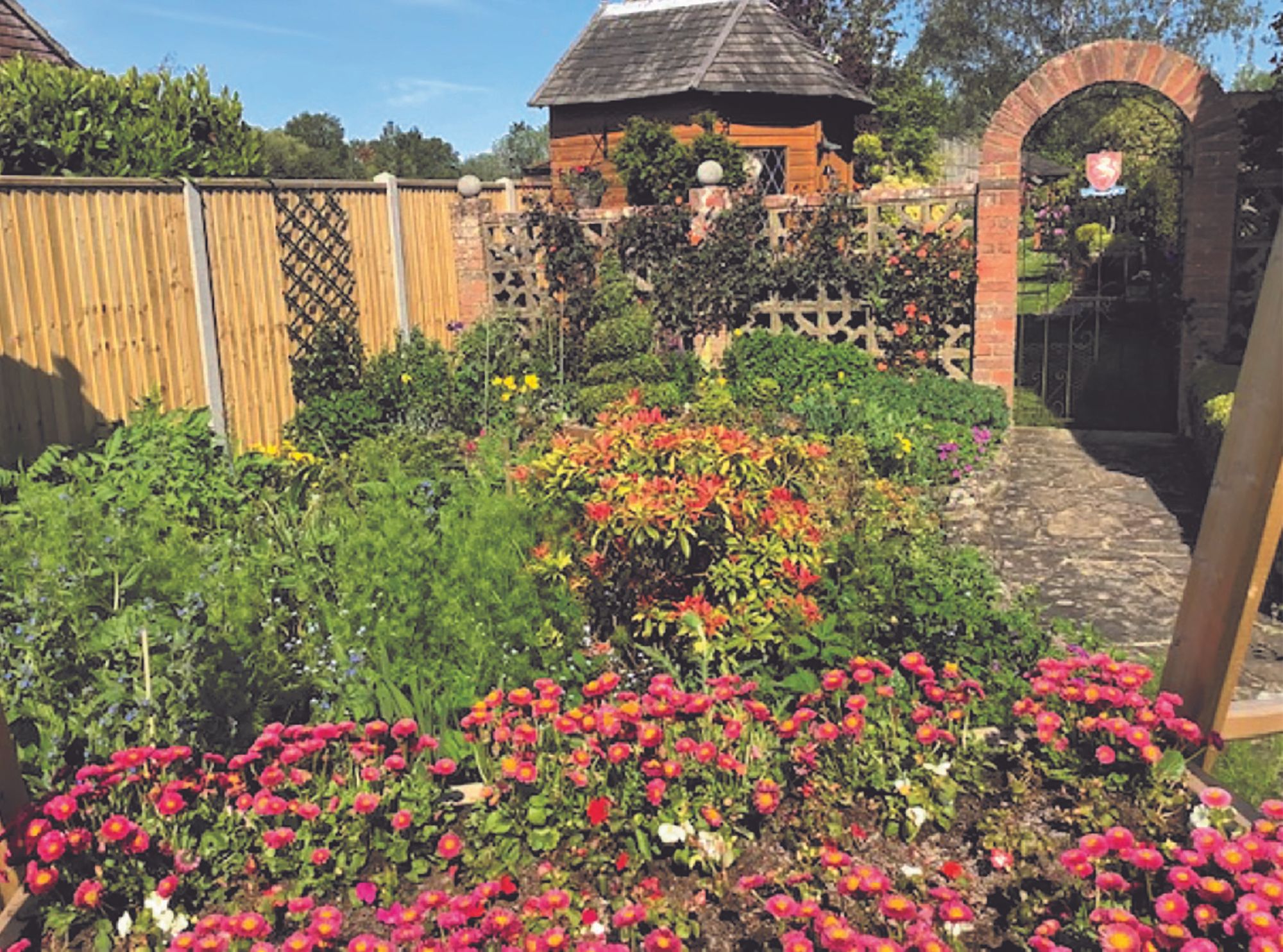 Green-fingered Ashford gardeners show off their skills