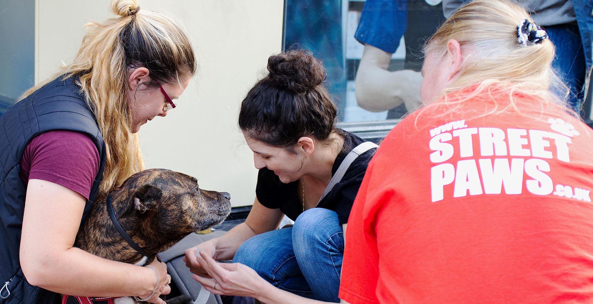 Walk 274,000 steps in April to help homeless people and their dogs