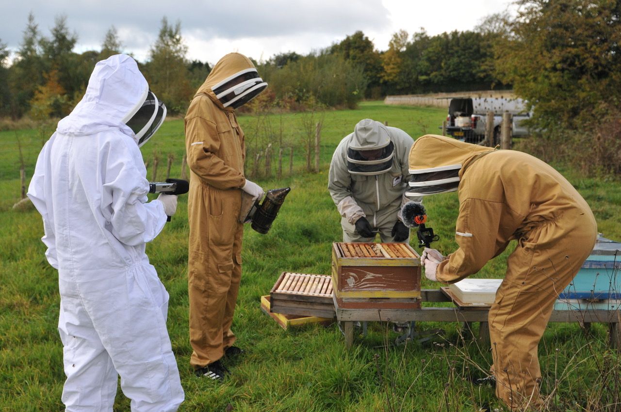 Ashby-de-la-Zouch beekeeper joins youth arts collective for bee-themed album