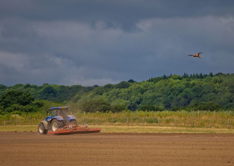 Cheshire Wildlife Trust and Cholmondeley Estates explore future of farming