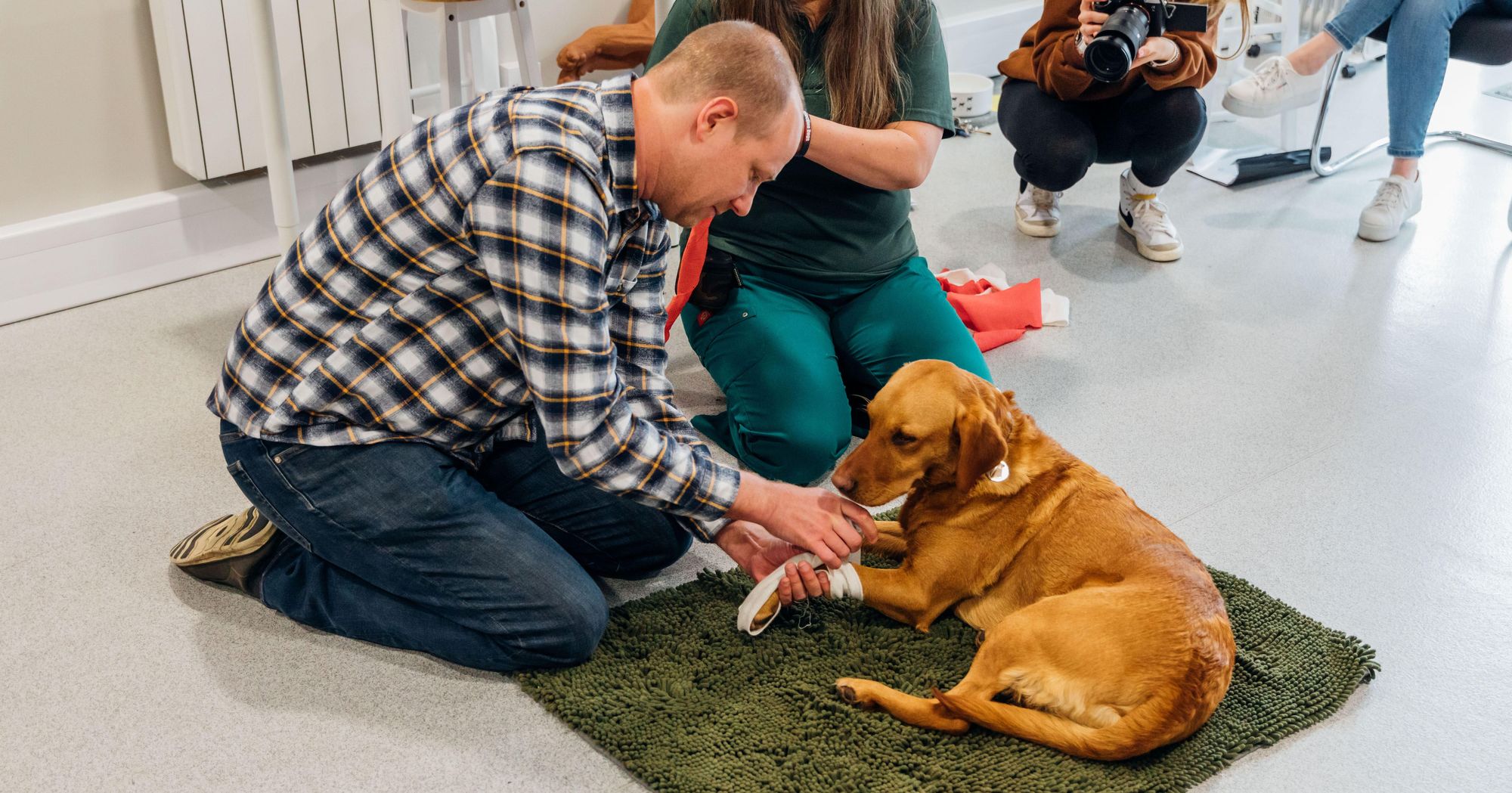 Manchester dog-lovers given vital first aid training