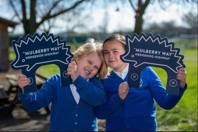 Southam pupils learn about hedgehogs