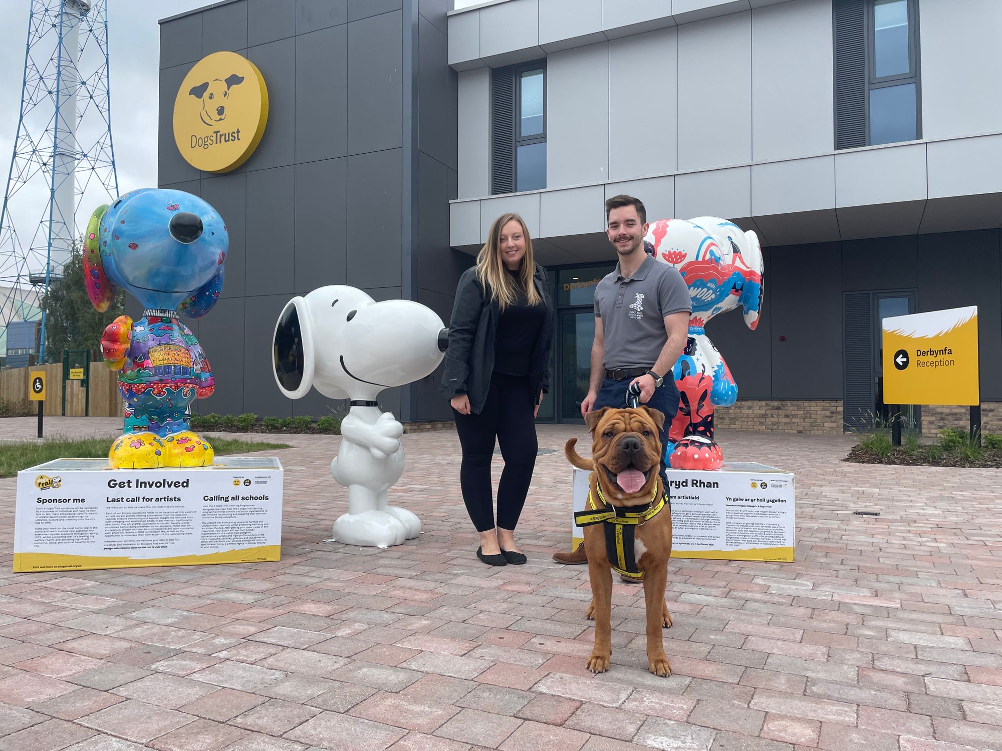 Dog-friendly litter pick being held in Cardiff