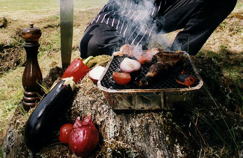 Total ban on disposable barbecues considered by Parliament