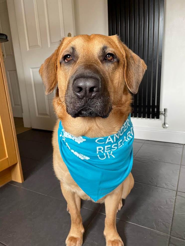 Take part in the first South Cheshire Woof Walkies and raise funds for Cancer Research
