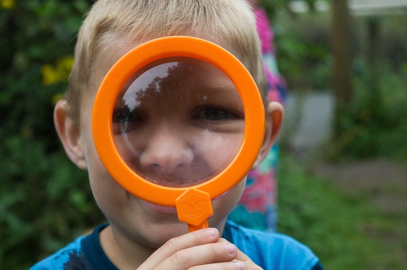 Martin Mere column: Have a bug-tastic time this May half-term