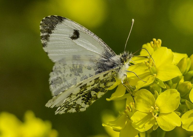 Scene By You Southport - May 26: Pictures of West Lancashire captured by local photographers