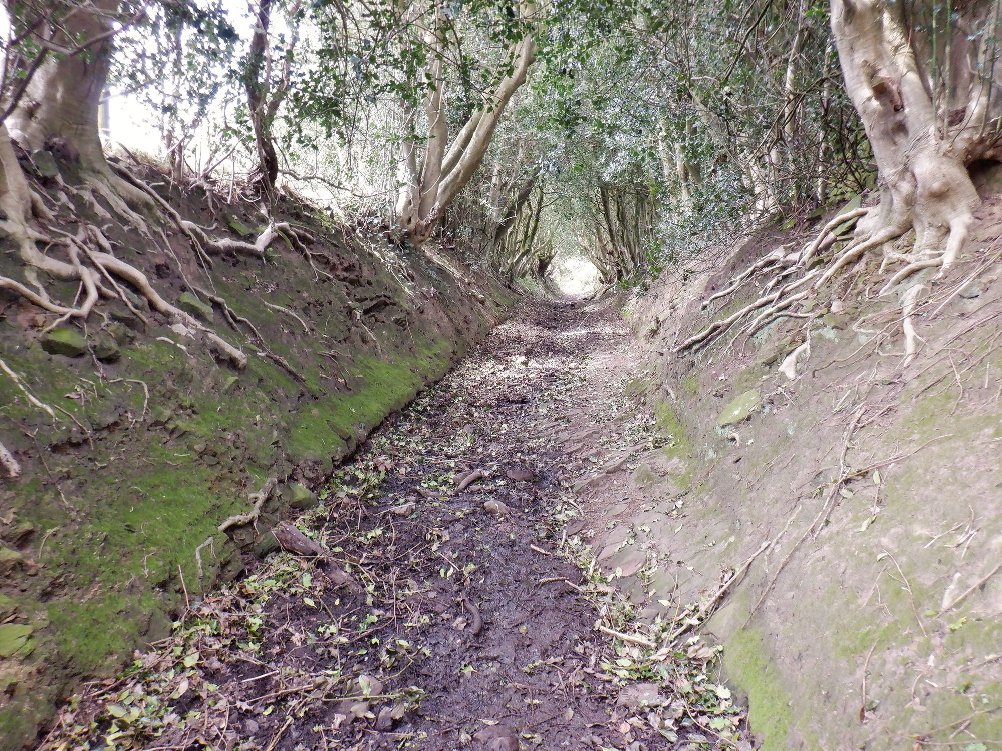 Rossendale Ramblers: Parks, pipes, and peculiar lanes