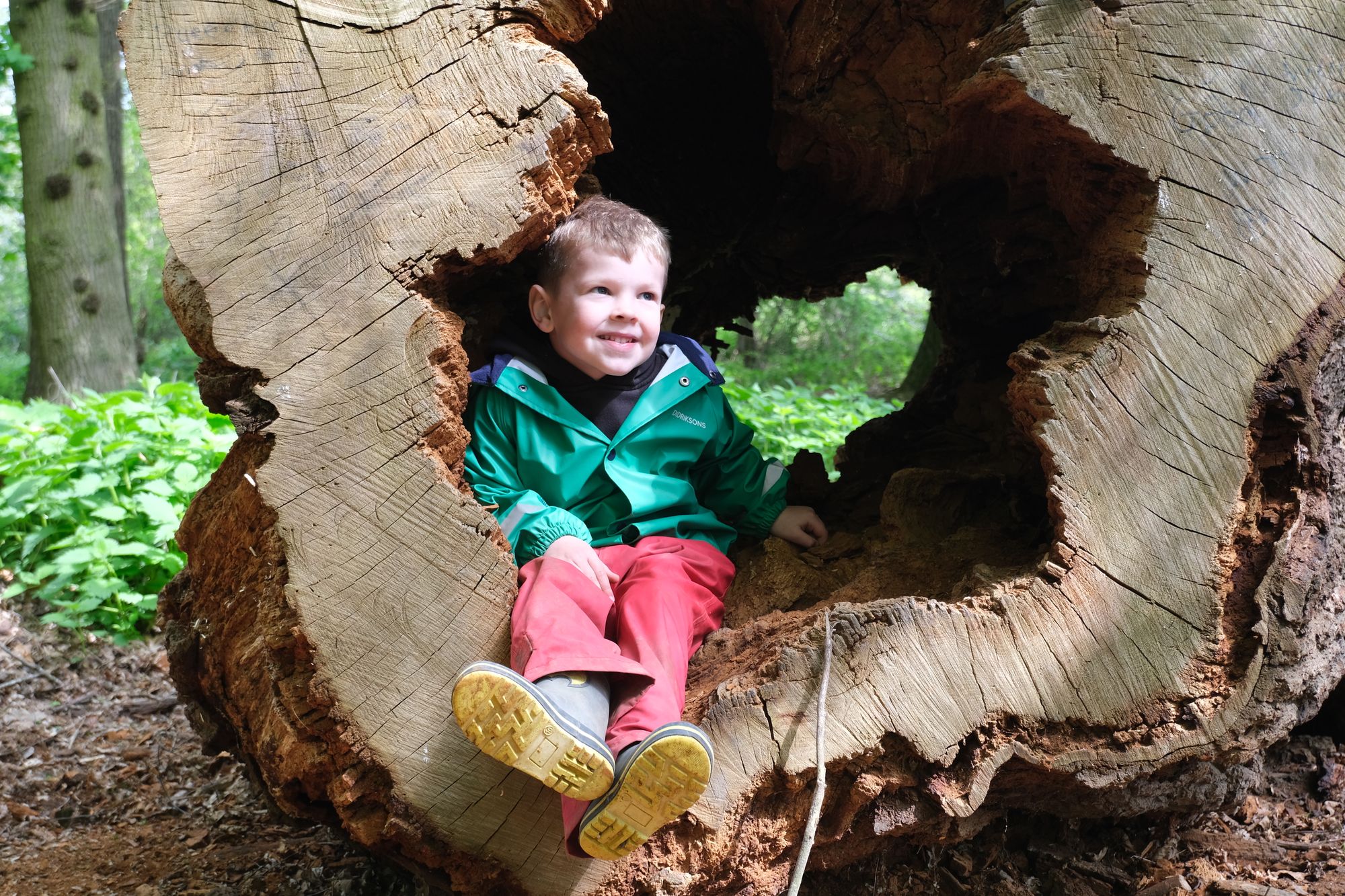 Gosfield Saturday forest school opens for the summer