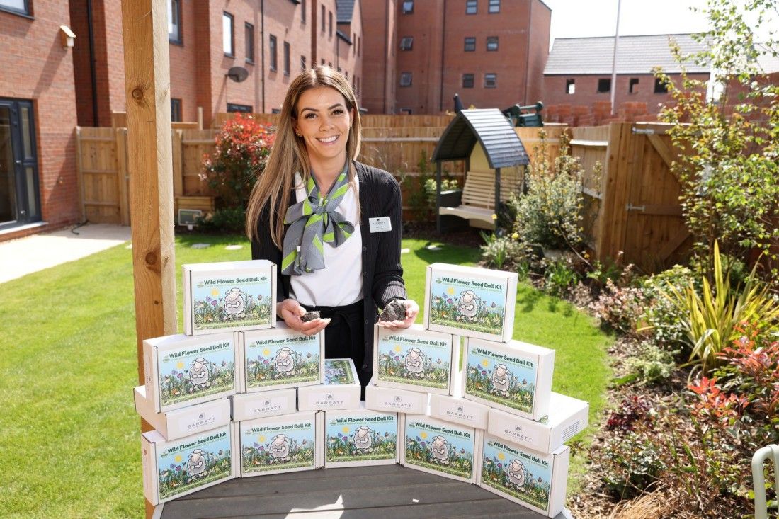 Wildflower seed bomb kits for Bexhill-on-Sea residents