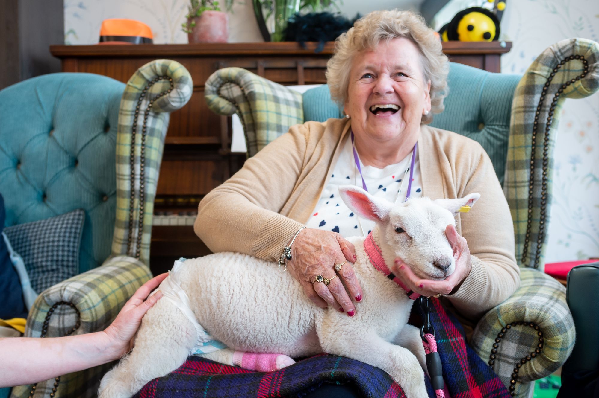 Quorn care residents celebrate springtime during animal visit day