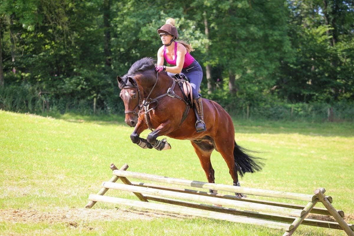 Worcestershire fostering agency highlights the impact animals can have on children