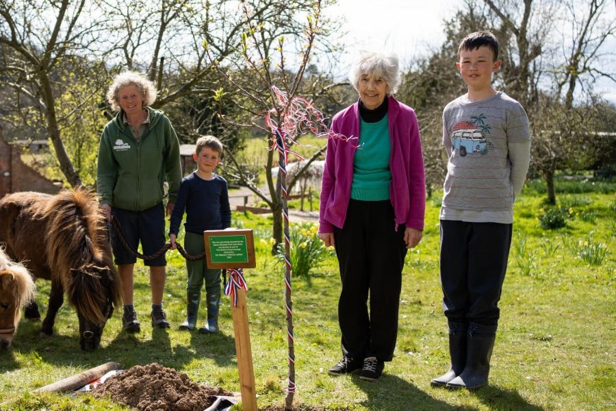 Guildford resident plants plum tree for Queen's Jubilee