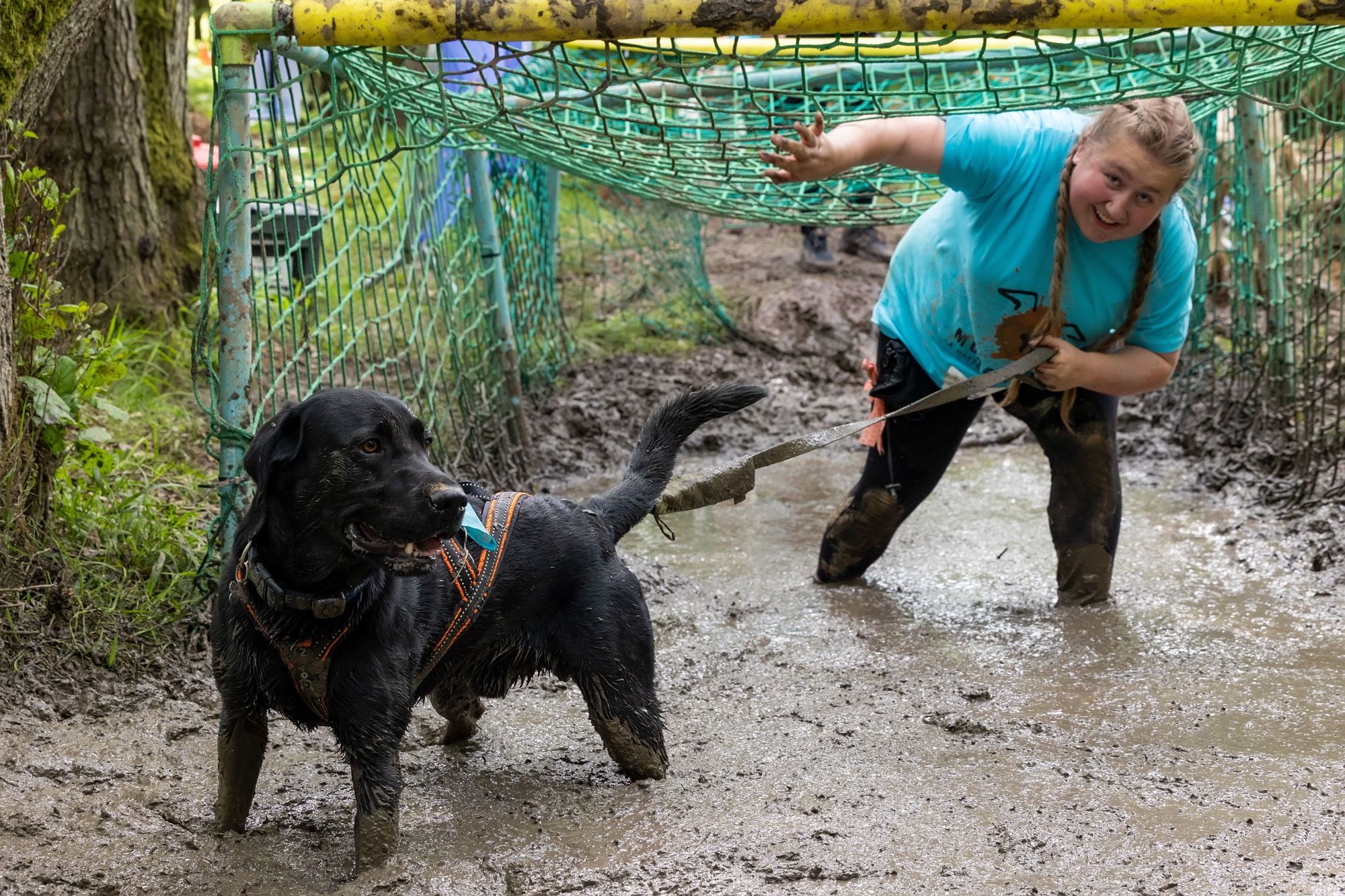 Mud, sweat and cheers for Tunbridge Wells dog owners InYourArea Community
