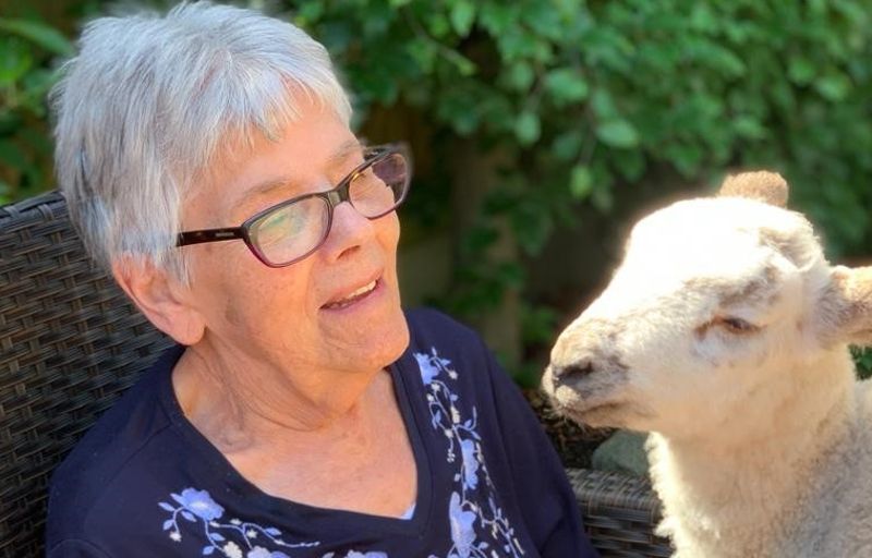 Lambs loved by Brentwood care home residents and school pupils