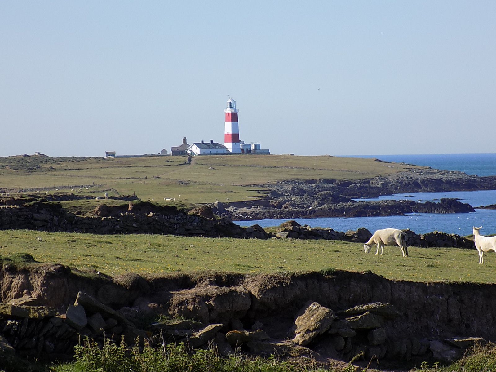 Cofion melys am Ynys Enlli