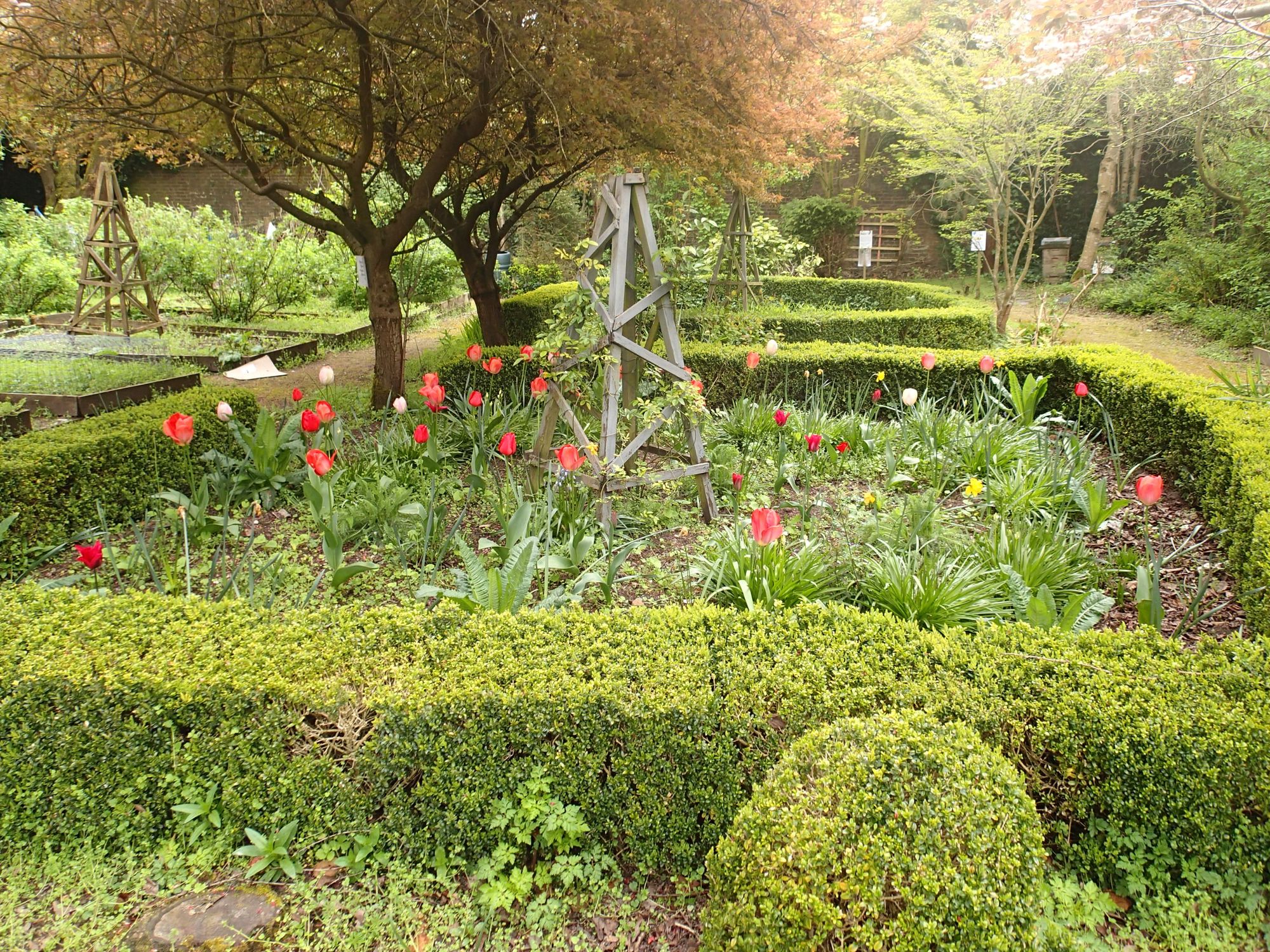 Not so secret garden in Leek welcomes visitors