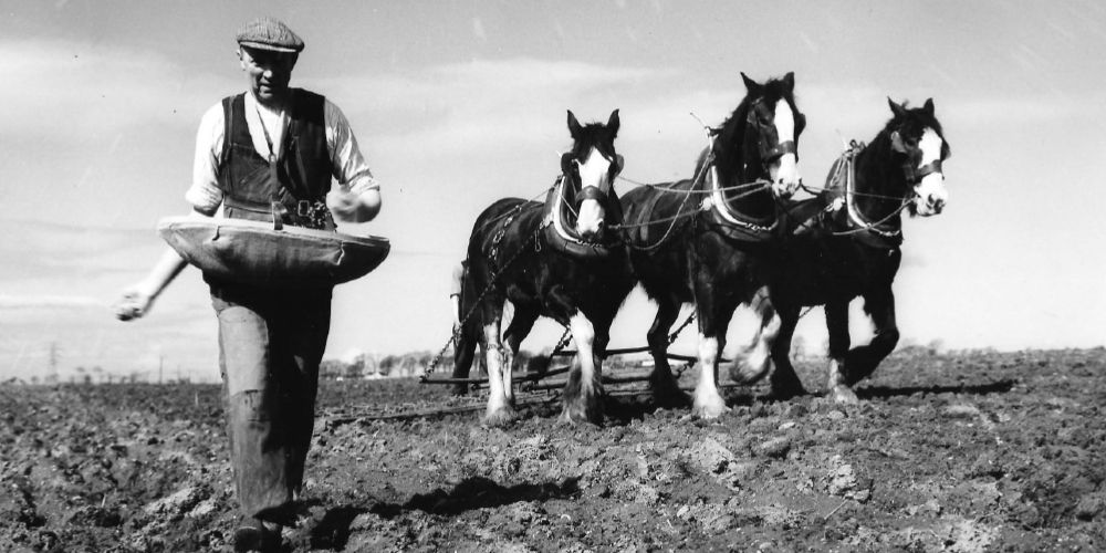 History of Ayrshire farming community will be the focus of new exhibition at the Baird Institute