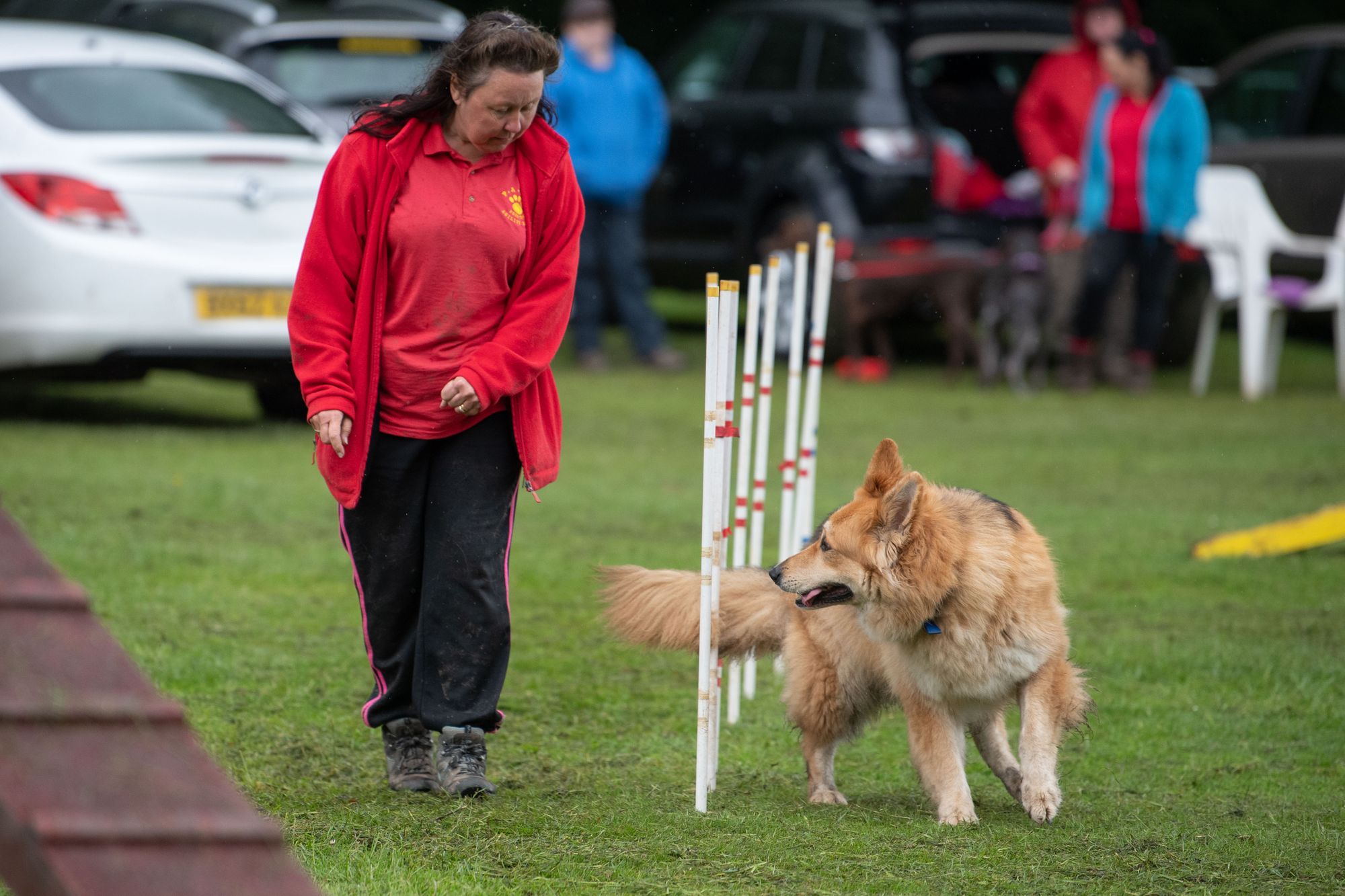 Paws in the Park returns this Thursday at Worden Park