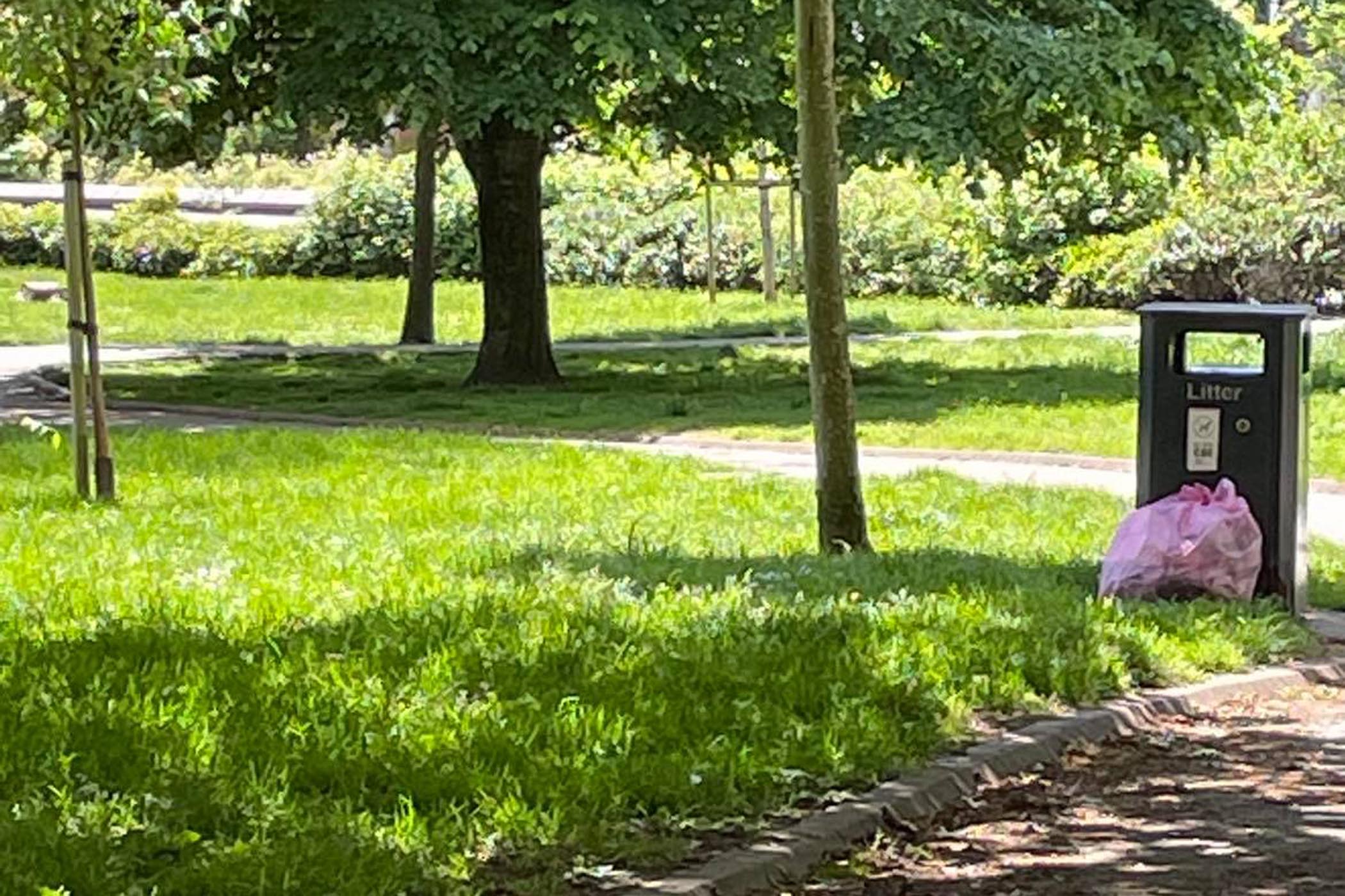 Can you help 'Keep Penylan Tidy' this Sunday