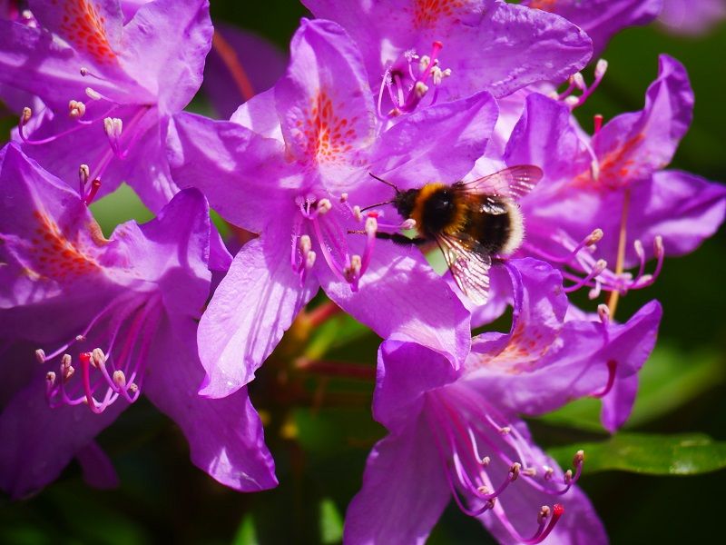 Scene By You Southport - June 16: Pictures of West Lancashire captured by local photographers