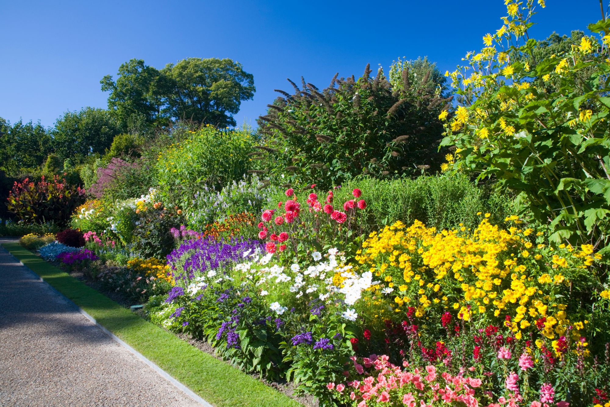 We're looking for the best 'Garden in Bloom' in Cambridge