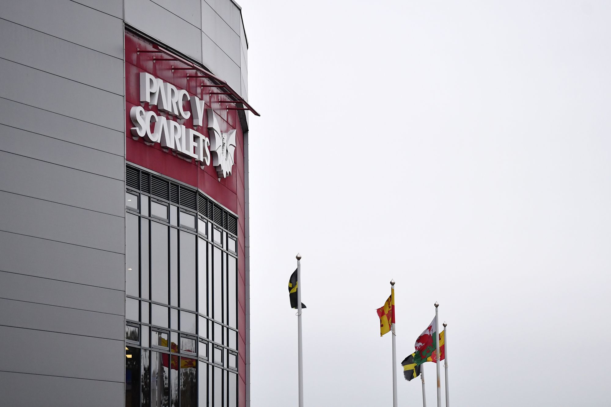 More than 100 businesses attend Llanelli networking event at Parc y Scarlets