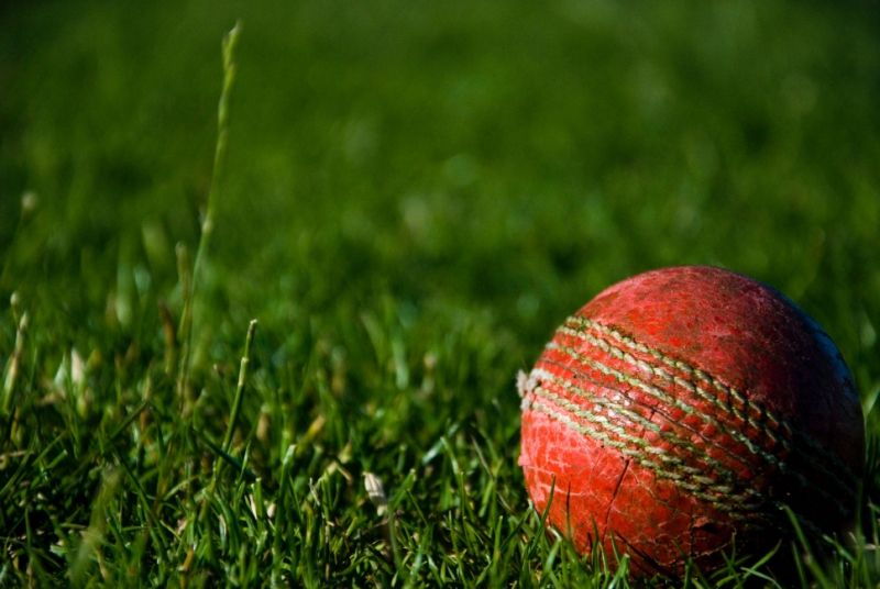 Cricket: Widnes crash out of Echo Cup