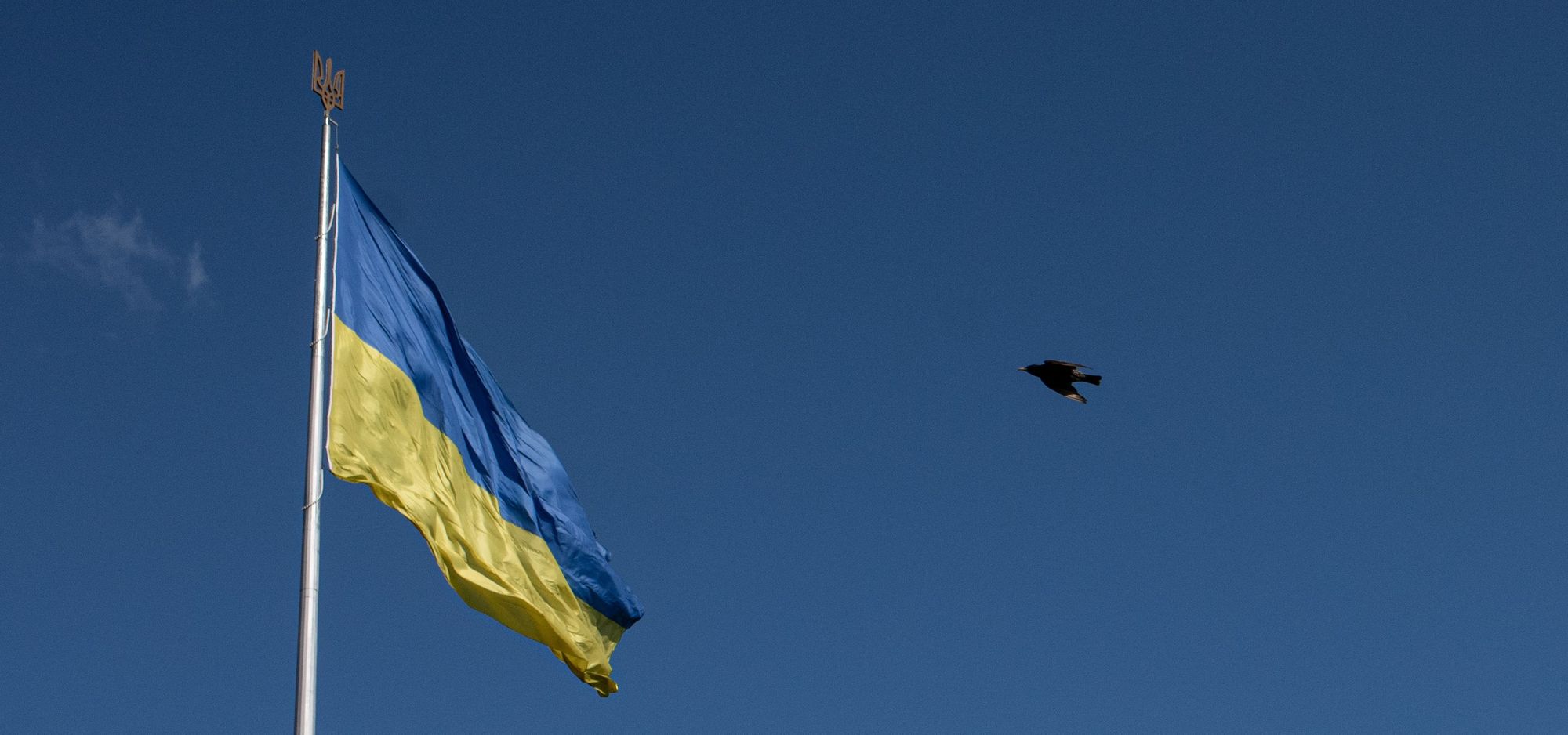 Leicestershire families thanked as 1,000 Ukrainian refugees apply for county homes