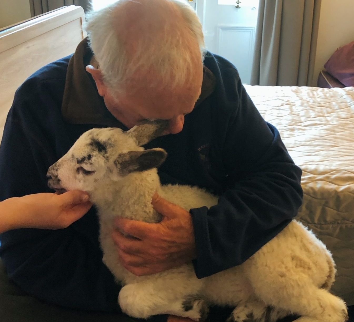 Chalfont Lodge residents enjoy a visit from local lambs