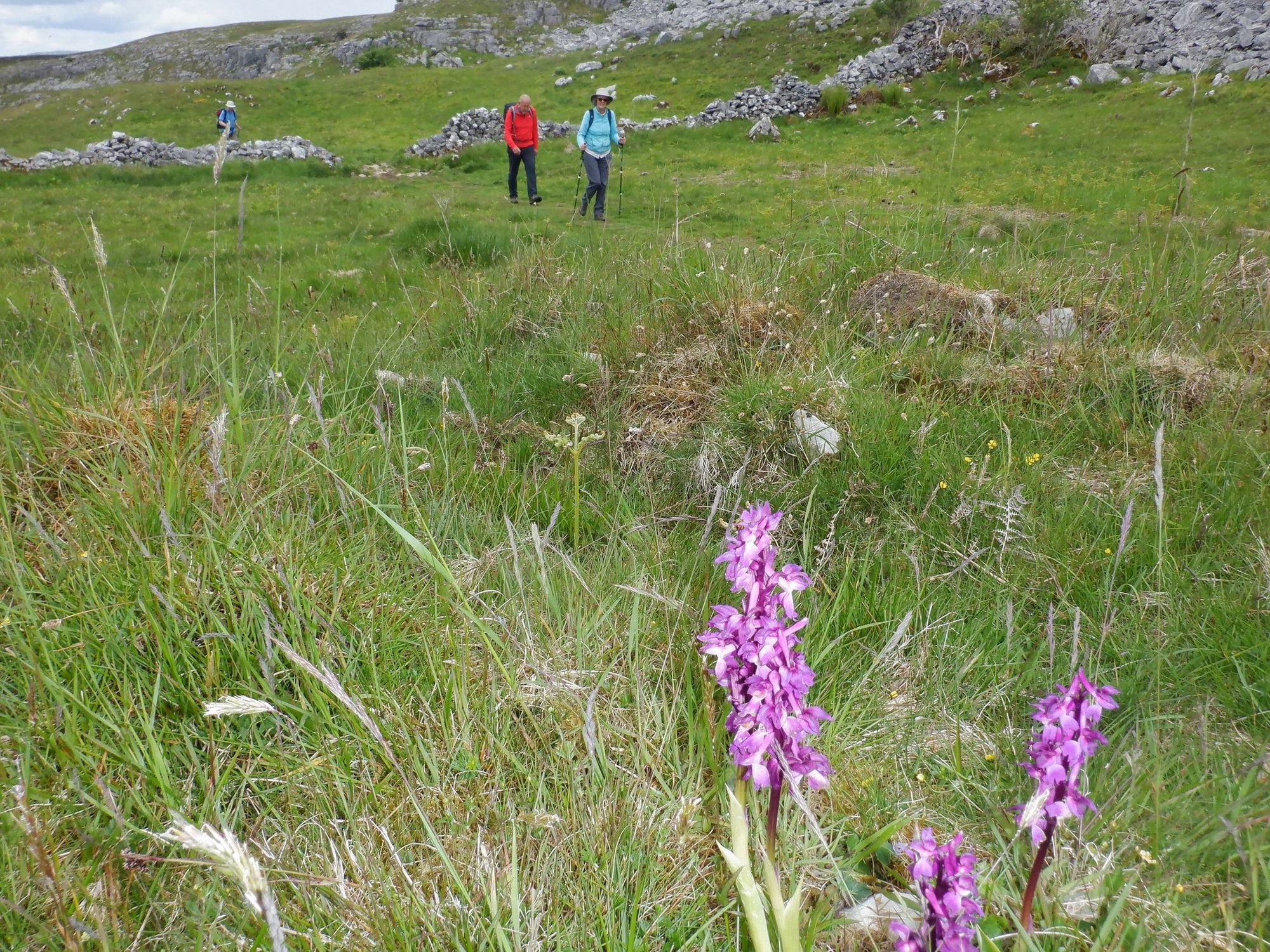 Rossendale Ramblers: Settle, scars, and Sabden