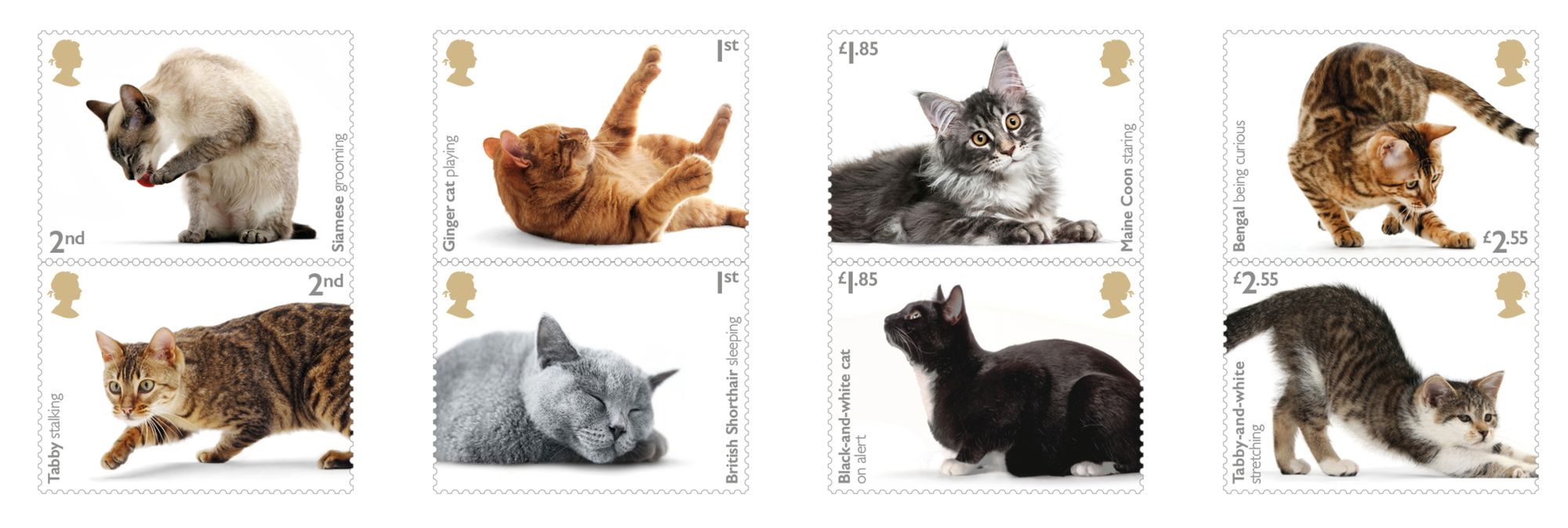 New Royal Mail stamps capture cat quirks
