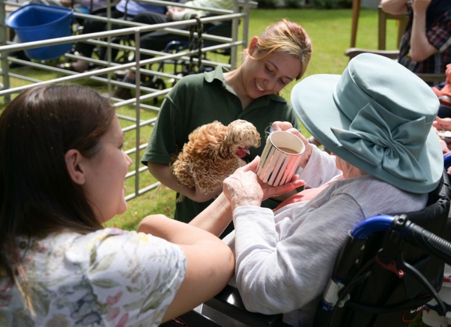 ‘Farm-tastic’ family day returns to care home after two years of lockdown