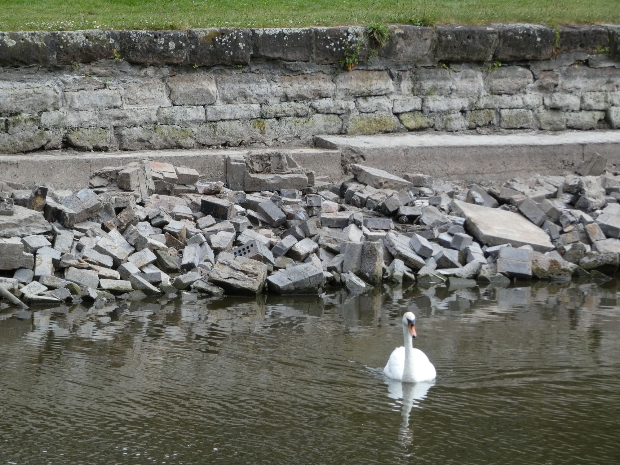 Reader letters - 'Halton council should feel ashamed over Widnes canal'
