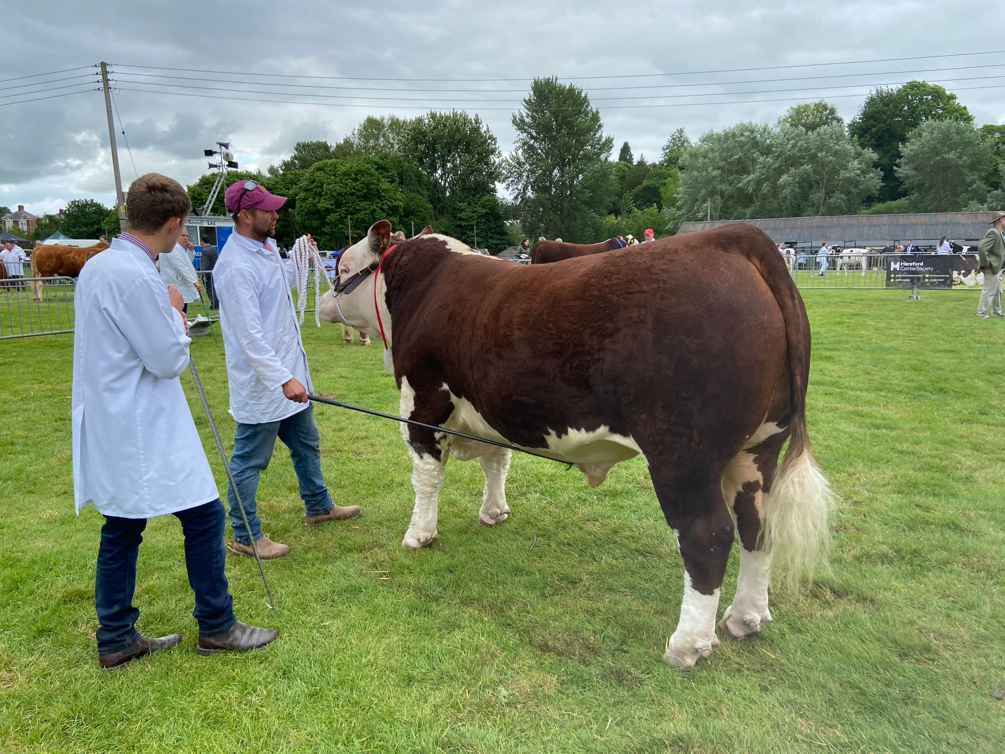 Shropshire County Show returns with full programme of events after three years
