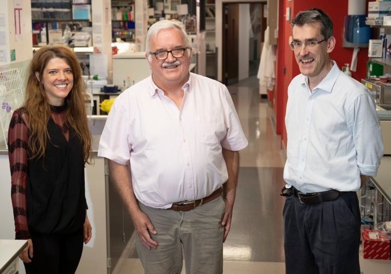 Cambridge researchers to receive nearly £4m to tackle cancer roadblocks