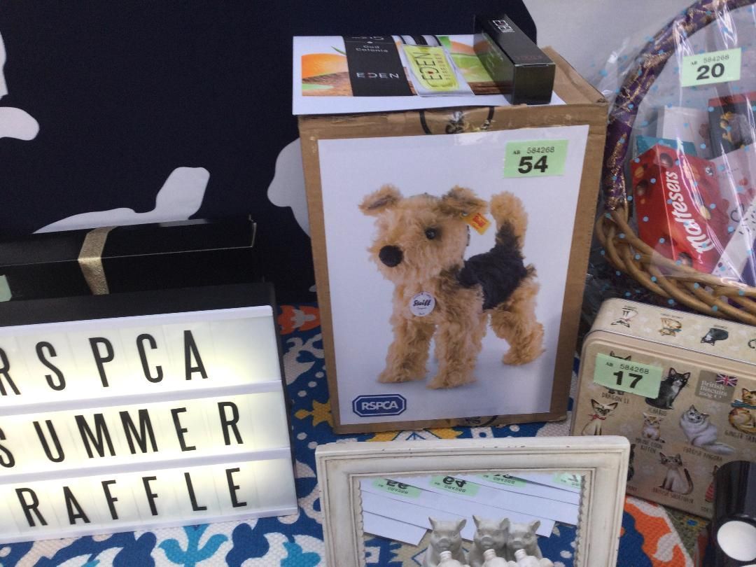 RSPCA column: Thank you for Summer Raffle support