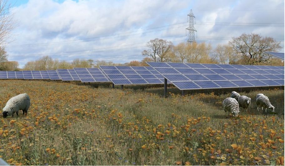 Leicestershire solar farm to 'generate electricity to power all county properties'