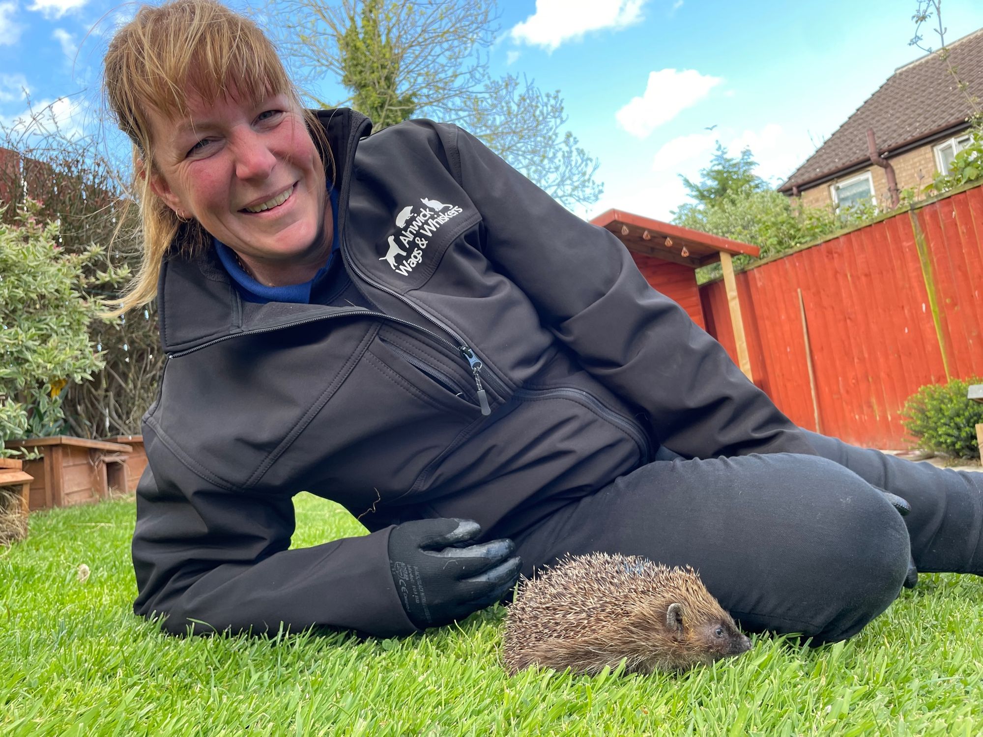 Charity donation will boost hedgehog happiness in Alnwick