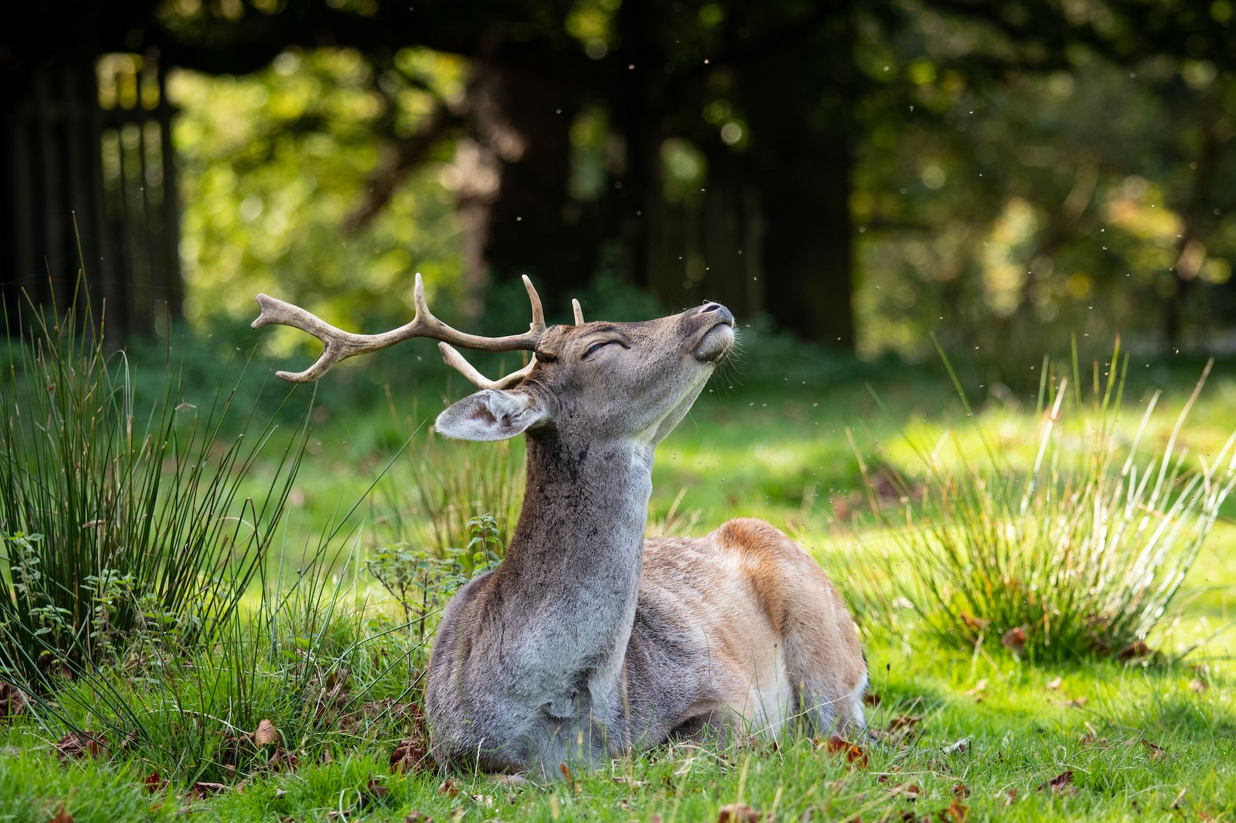 'Capturing Altrincham' competition extends deadline