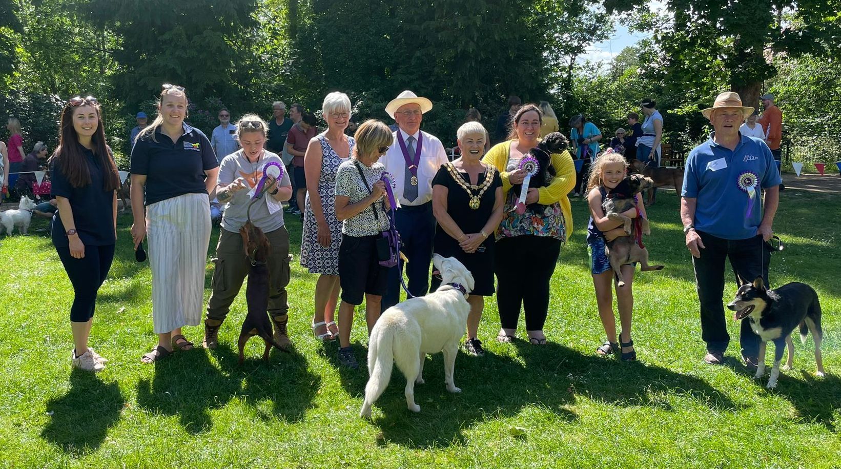 Review of 2022: Good news stories from Kent and Sussex in June