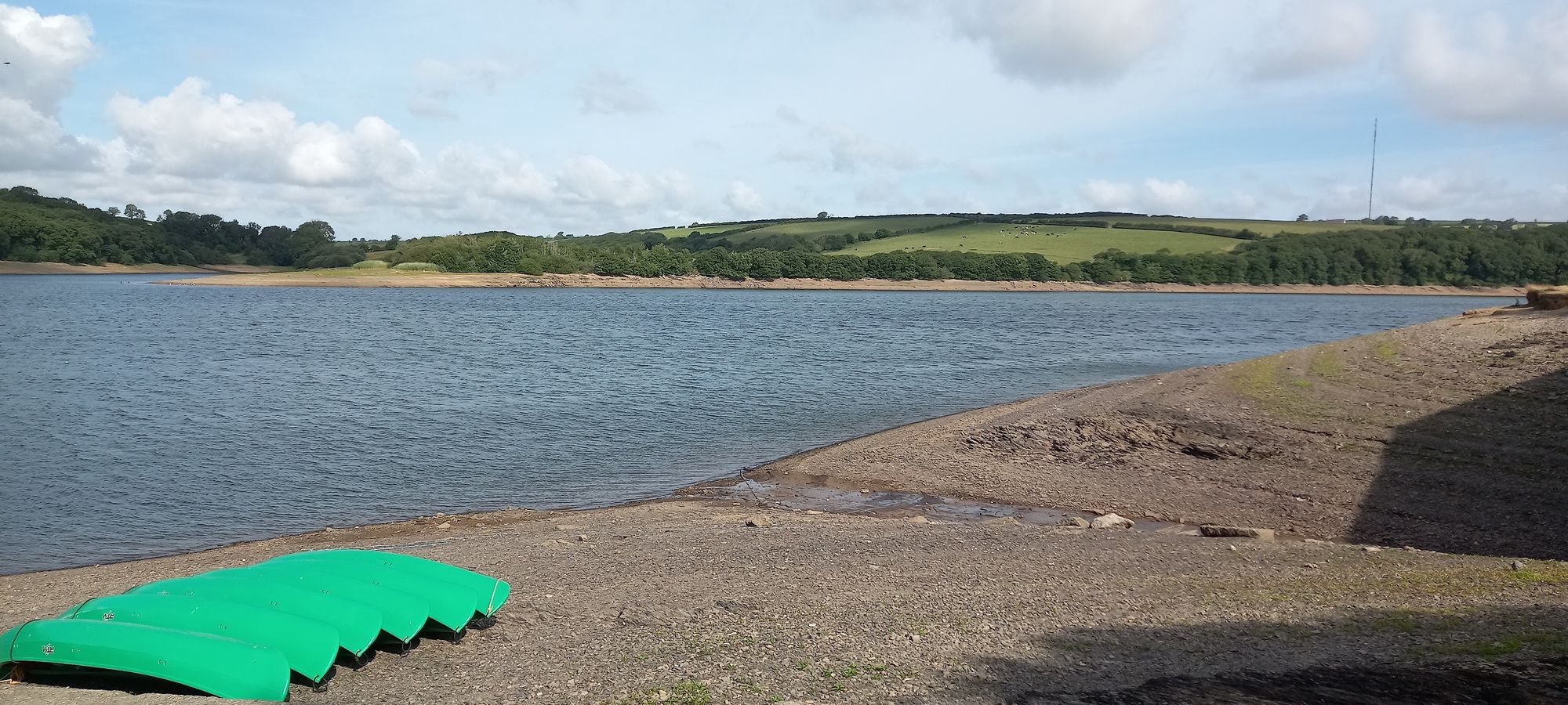 Welsh Water: Top tips to save water in the home and garden