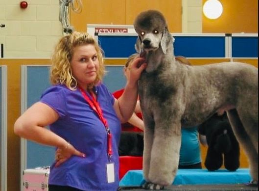 New dog grooming training school opens in Carrbrook