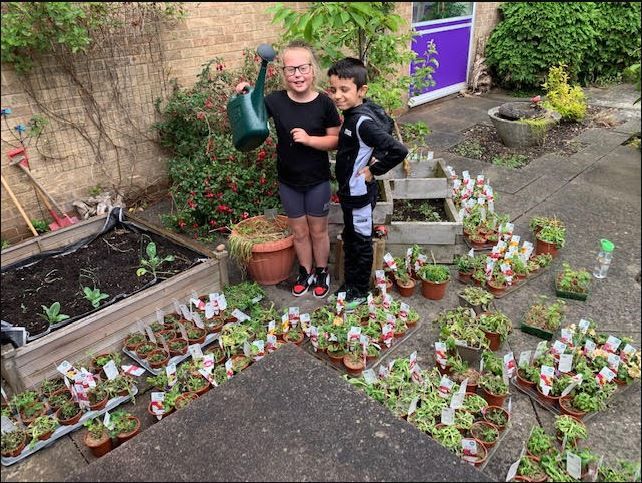 Green-fingered Castle Vale pupils help their school garden flourish