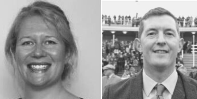 Drointon marketing firm Mirage and Mole partners with Logical Utilities Company