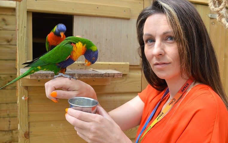 Animal magic and creature comforts attract learners to leading college