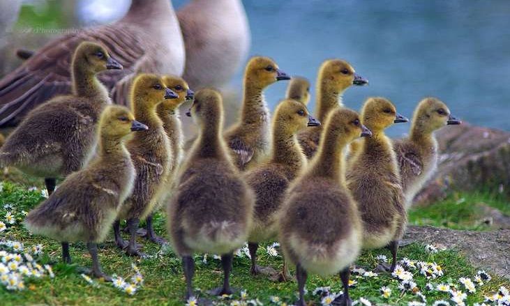 Scene By You Ormskirk - September 1: Pictures of West Lancashire captured by local photographers